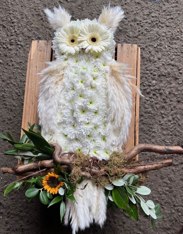 Owl Tribute