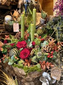 Evergreen Elegance Bark arrangement