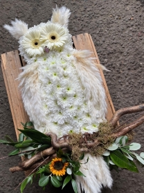 Owl Tribute