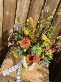 Sunlit Autumn Meadow